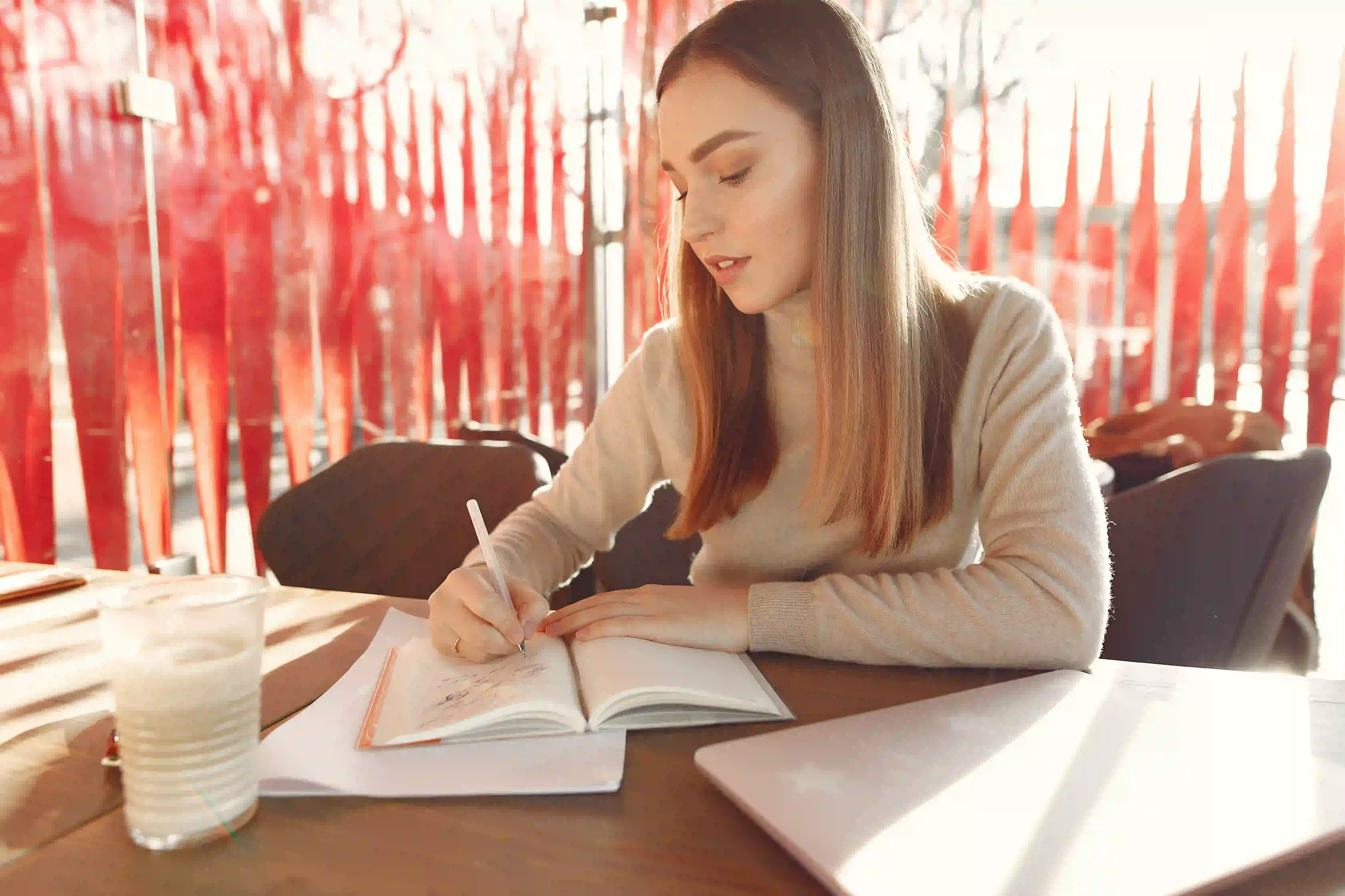 Novel Writing